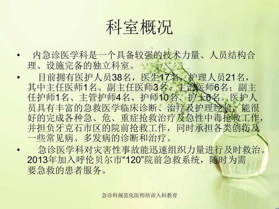 急诊科规范化医师培训入科教育课件_第4页