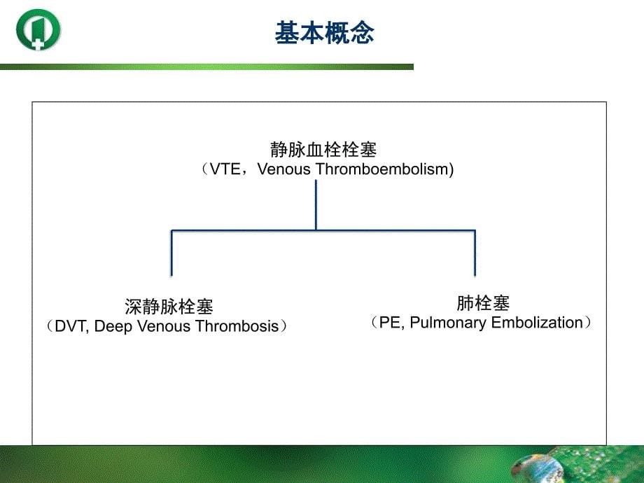 深静脉血栓的预防_第5页