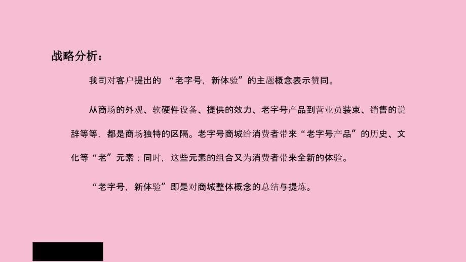 中华老字号商城的的策划的方案ppt课件_第5页