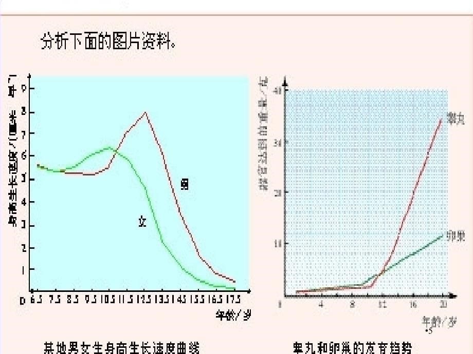 小学五年级健康教育课青发育期的生理变化课堂PPT_第5页