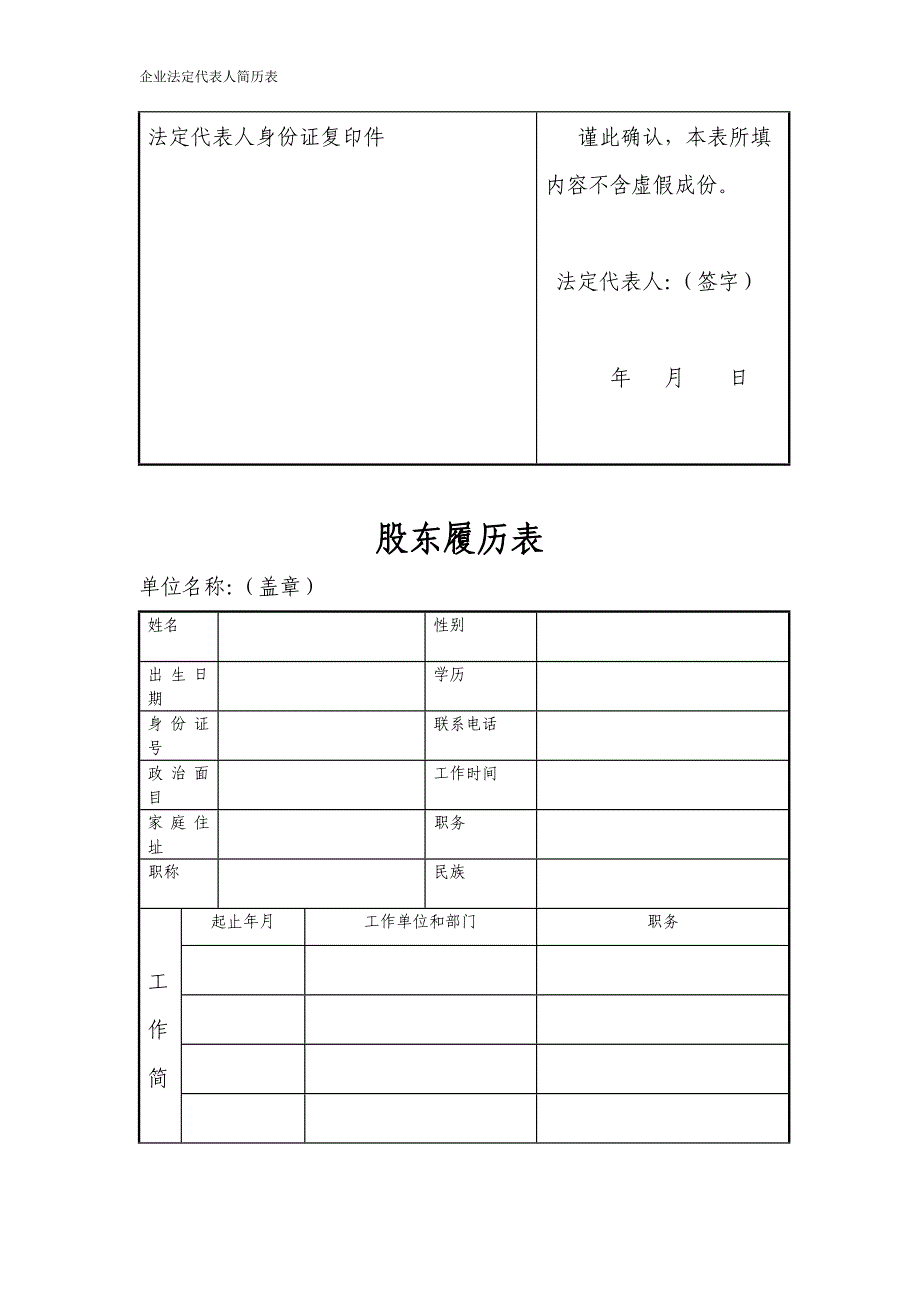 企业法定代表人简历表.doc_第2页