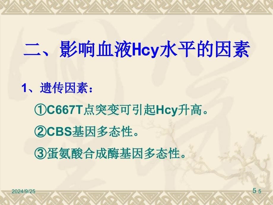 hcy之检测与发病机理_第5页