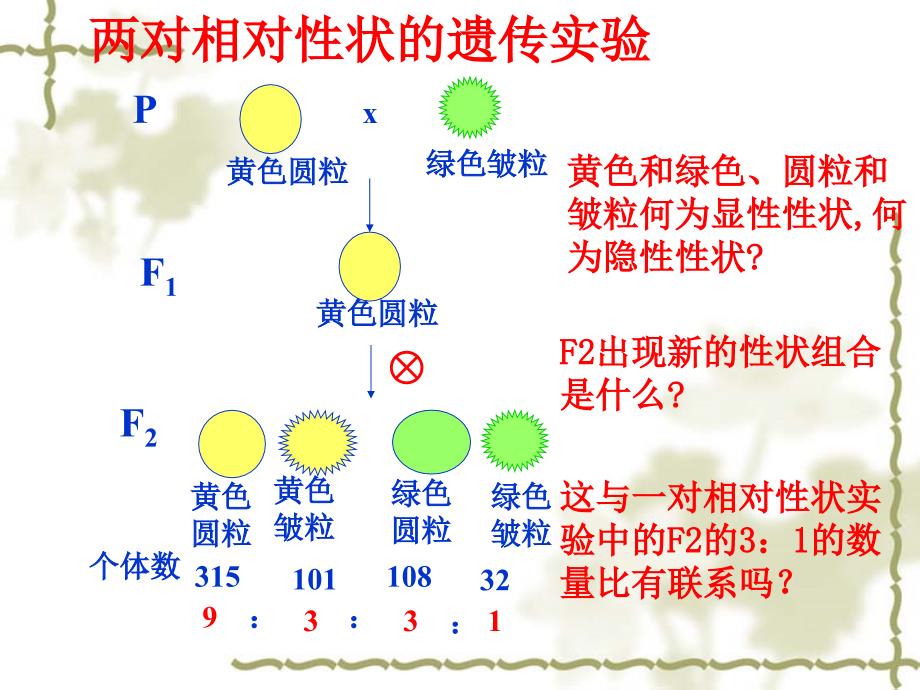 第二节孟德尔的豌豆杂交实验二_第2页