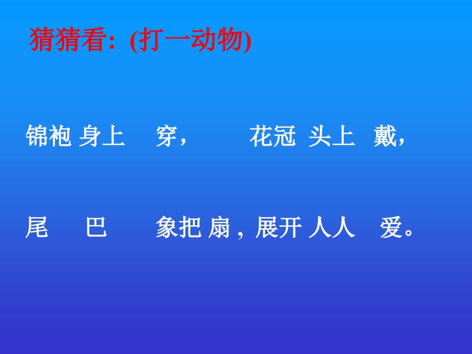 人音版音乐二上《金孔雀轻轻跳》课件1_第2页