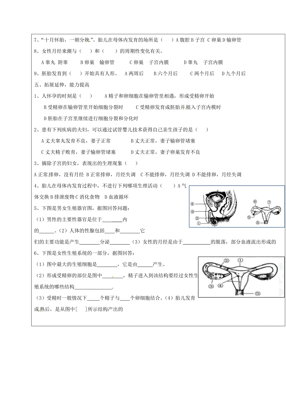 山东省广饶县八年级生物上册4.3.1婴儿的诞生学案无答案新版济南版_第3页