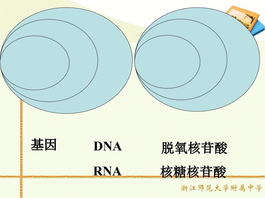 第四节遗传信息的表达RNA和蛋白质的合成_第3页