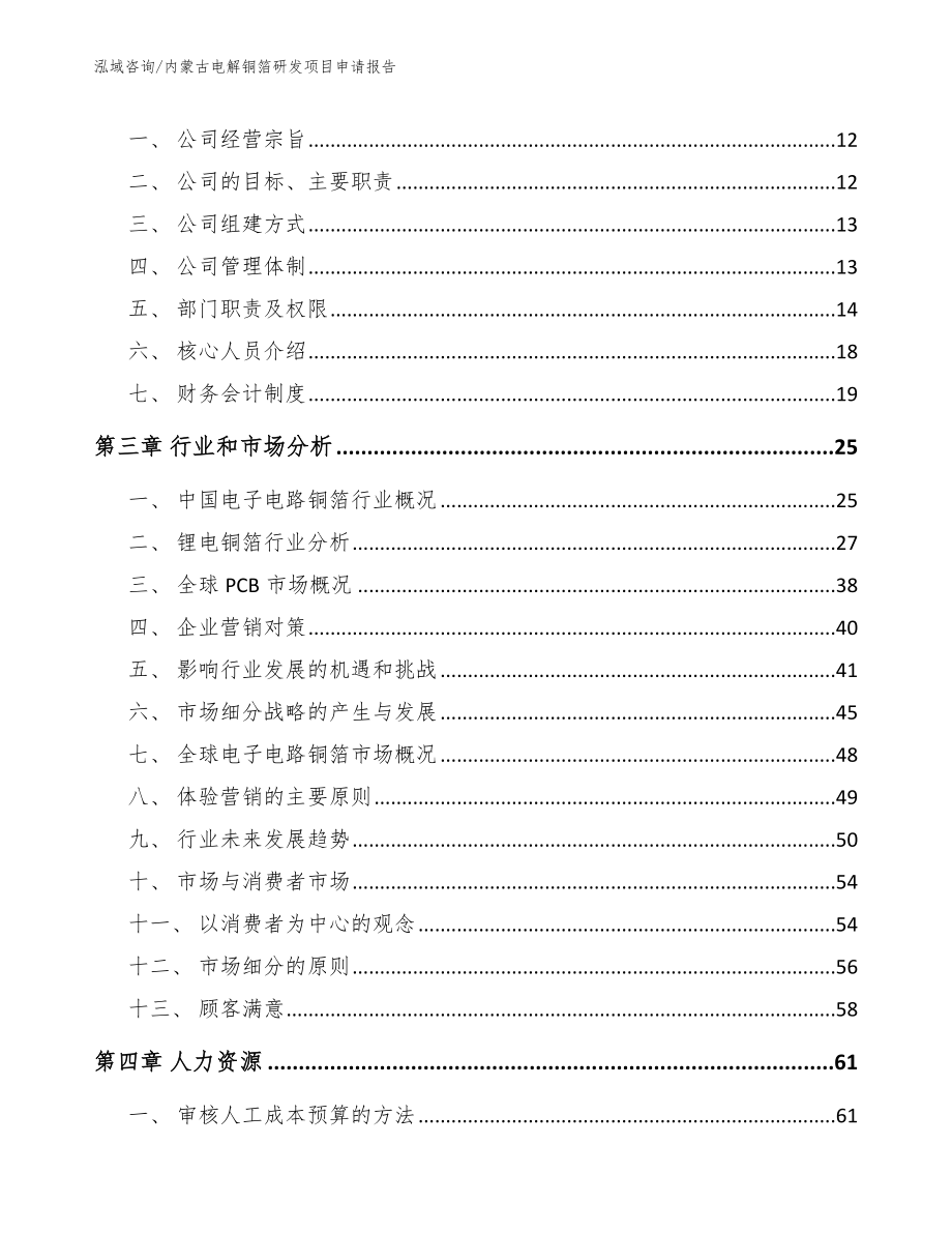 内蒙古电解铜箔研发项目申请报告模板参考_第4页