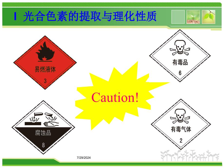 模块二--光合色素的提取、分离、课件_第3页