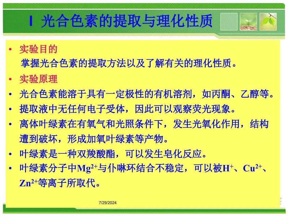 模块二--光合色素的提取、分离、课件_第5页