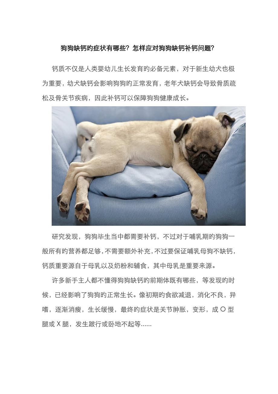 狗狗缺钙的症状有哪些？如何应对狗狗缺钙补钙问题？_第1页