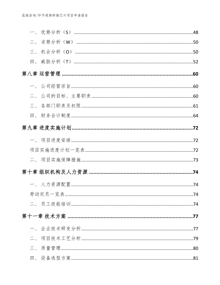 毕节视频桥接芯片项目申请报告_第3页