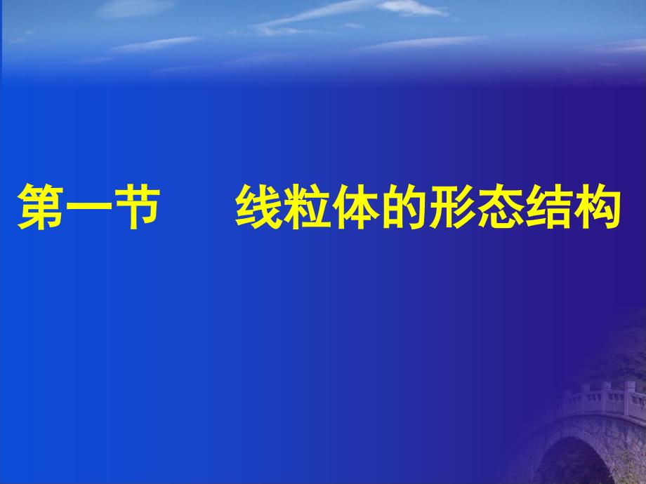 分子生物学线粒体_第4页