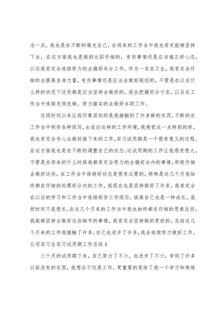 公司实习生实习试用期工作总结.docx_第5页