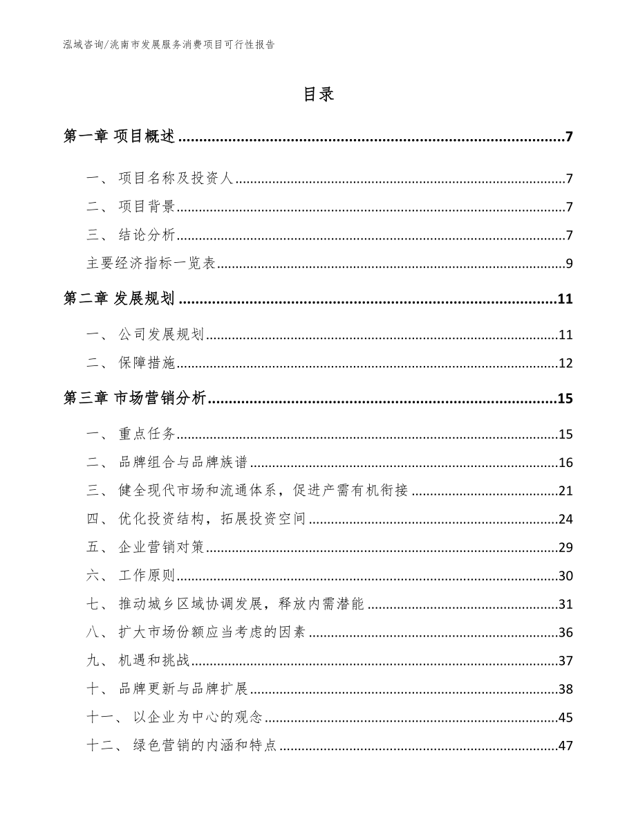 洮南市发展服务消费项目可行性报告【参考范文】_第1页