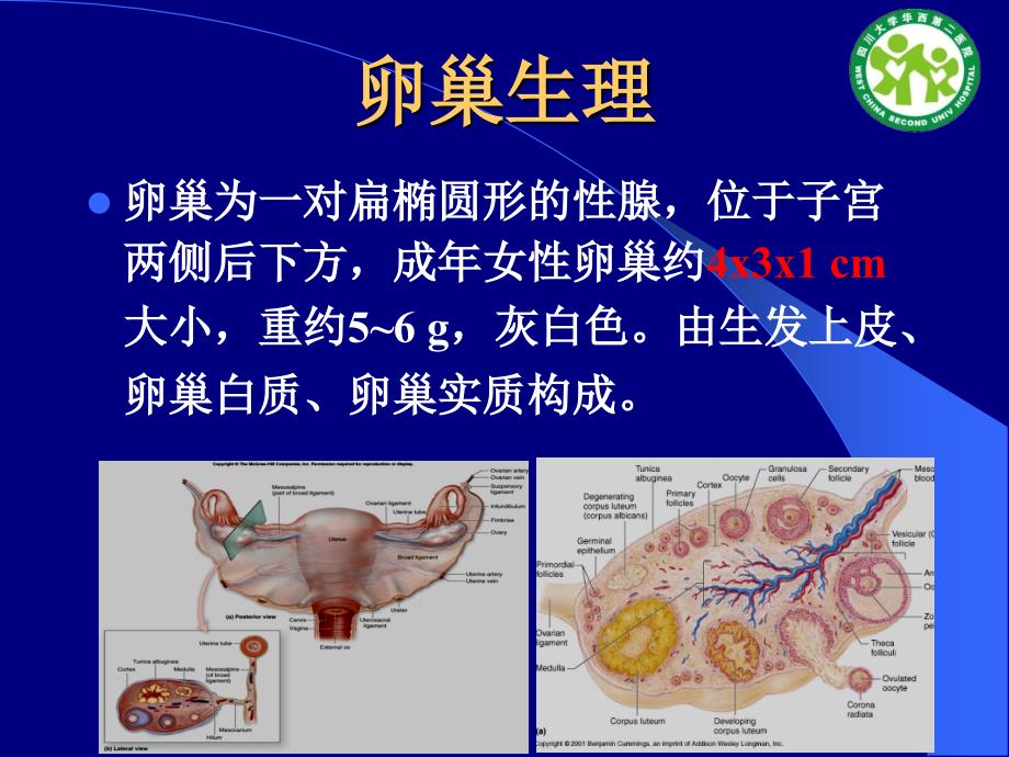 卵巢肿块的超声诊断杨太珠华西_第2页