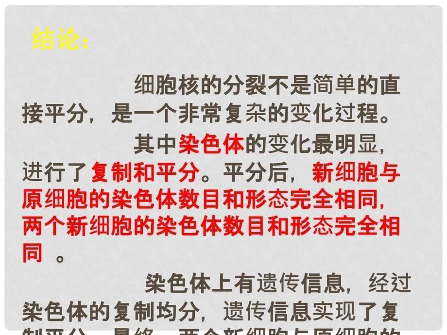 内蒙古鄂尔多斯市七年级生物上册 2.2细胞怎样构成生物体复习课件 （新版）新人教版_第5页