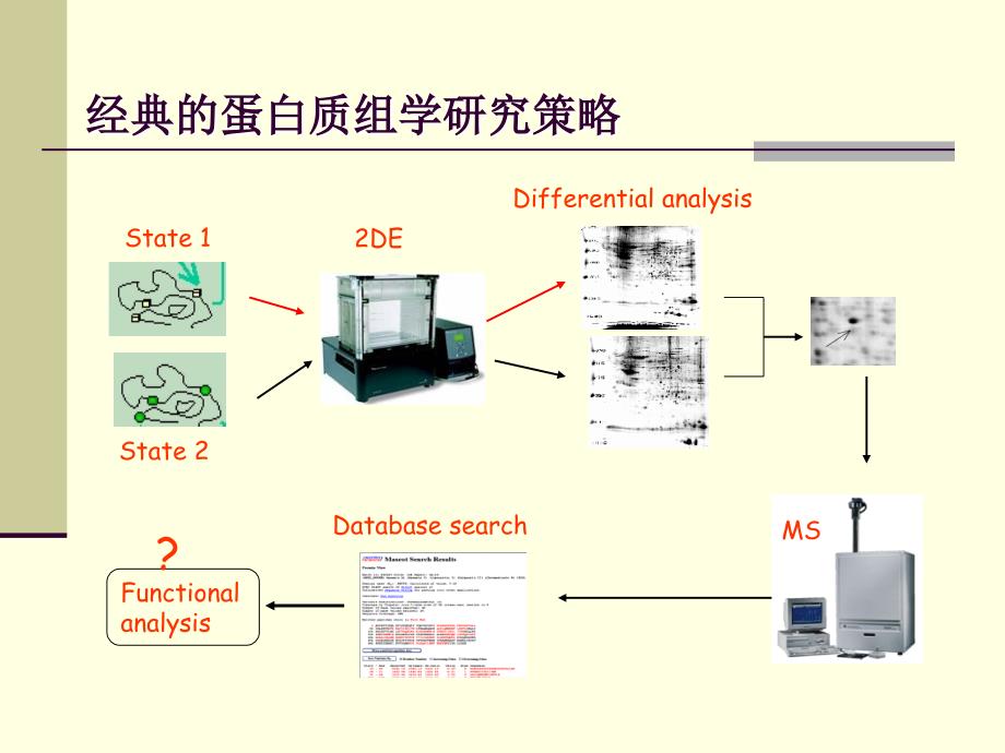 蛋白质组学技术：蛋白质组学中的生物信息学_第2页