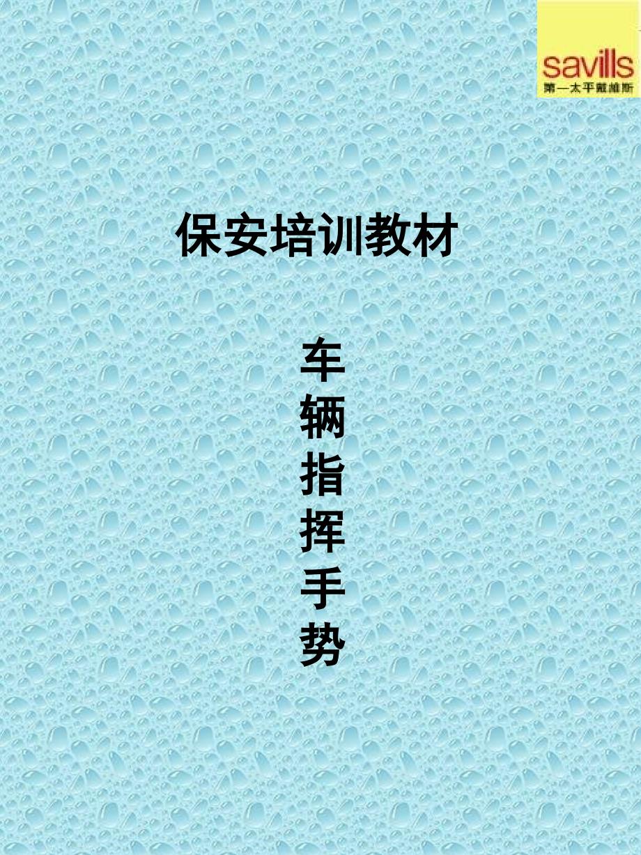 保安车辆指挥PPT课件_第1页