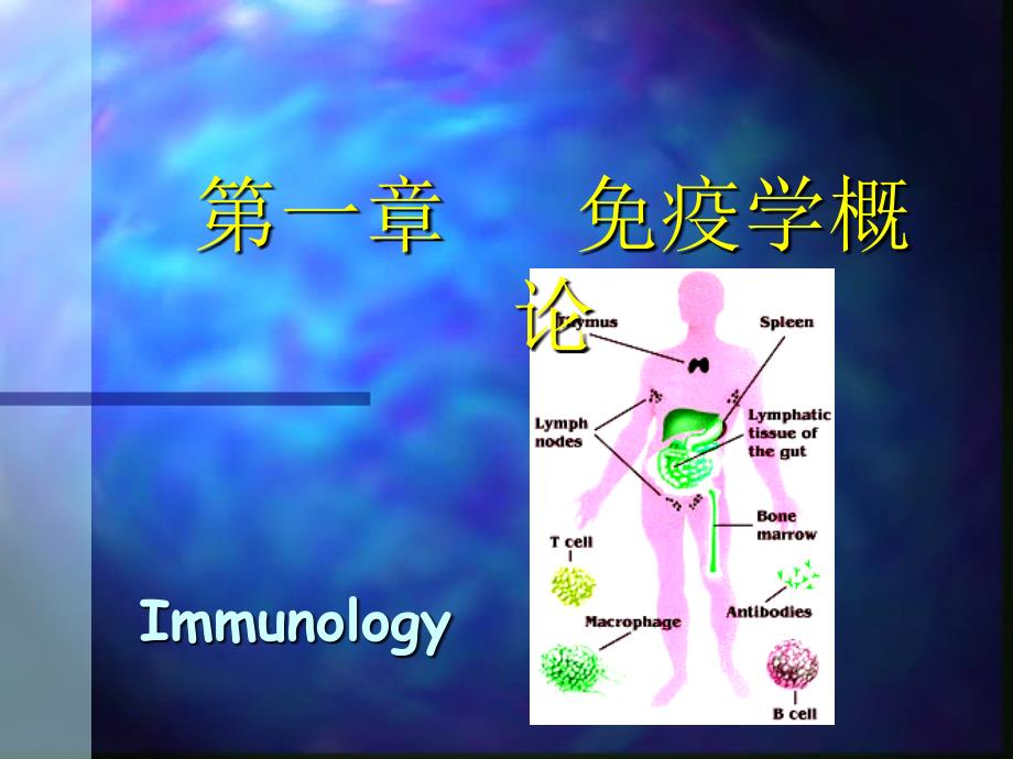 第一章免疫学概论_第2页