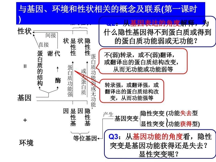 遗传与变异中的概念联系_第5页