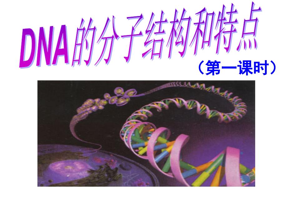 高中生物课件：DNA分子的结构和特点_第1页