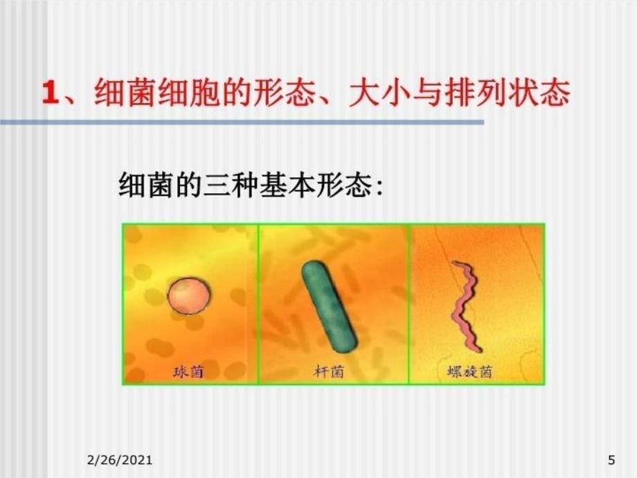 最新包装工艺学32PPT课件_第5页