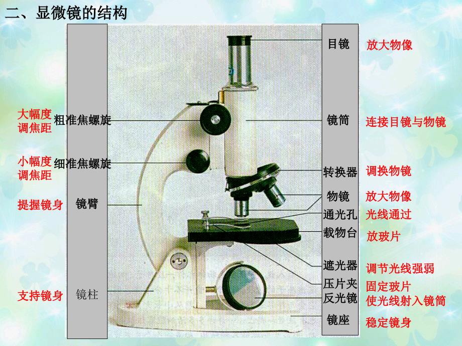 练习使用显微镜_第4页