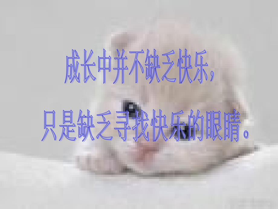 我成长我快乐_第4页