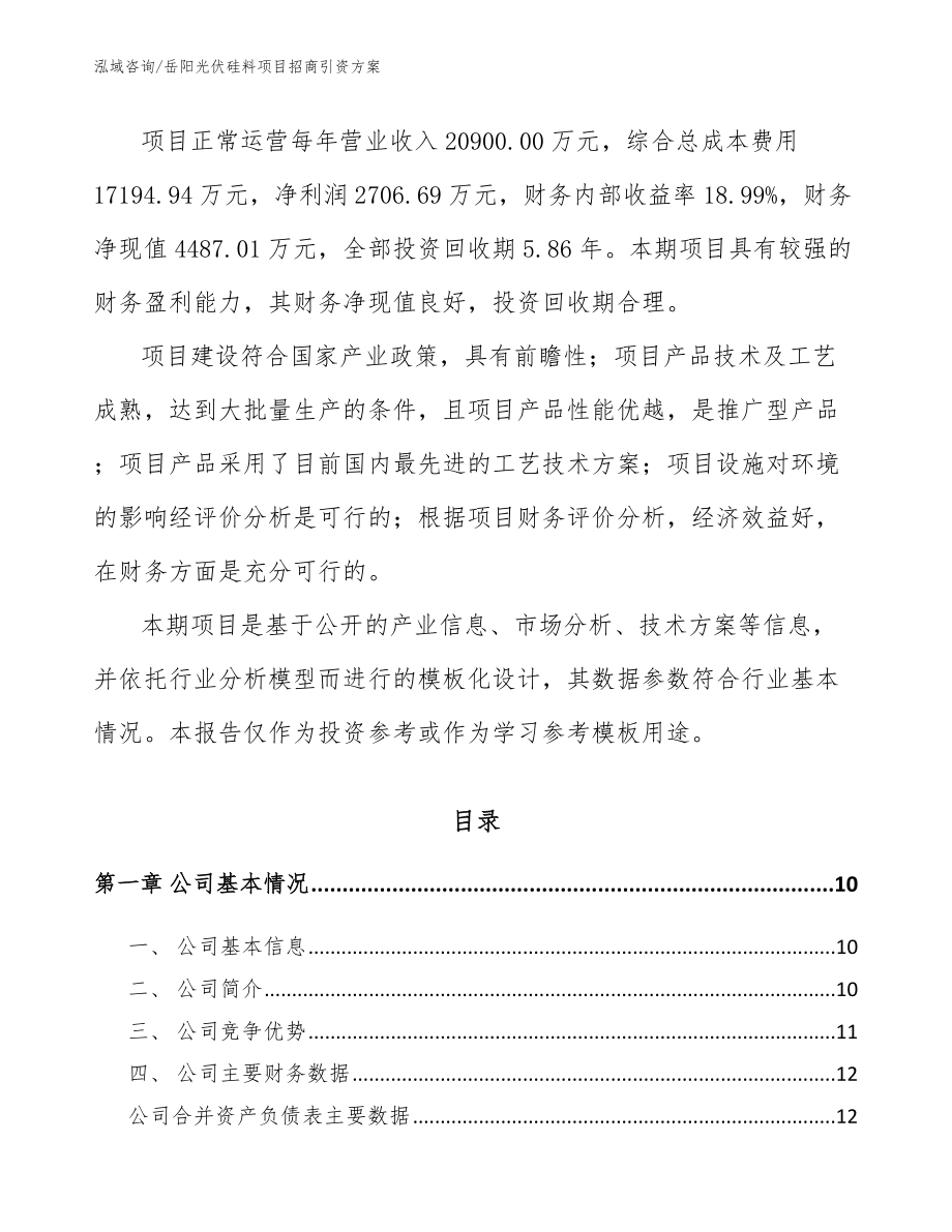 岳阳光伏硅料项目招商引资方案模板范文_第3页