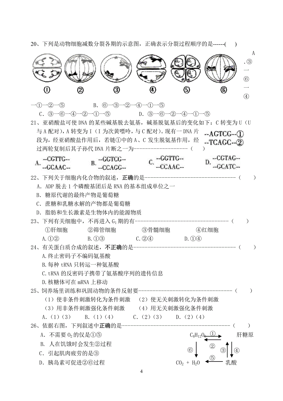 奉贤区2010学年第一学期高三生命科学期中测试.doc_第4页