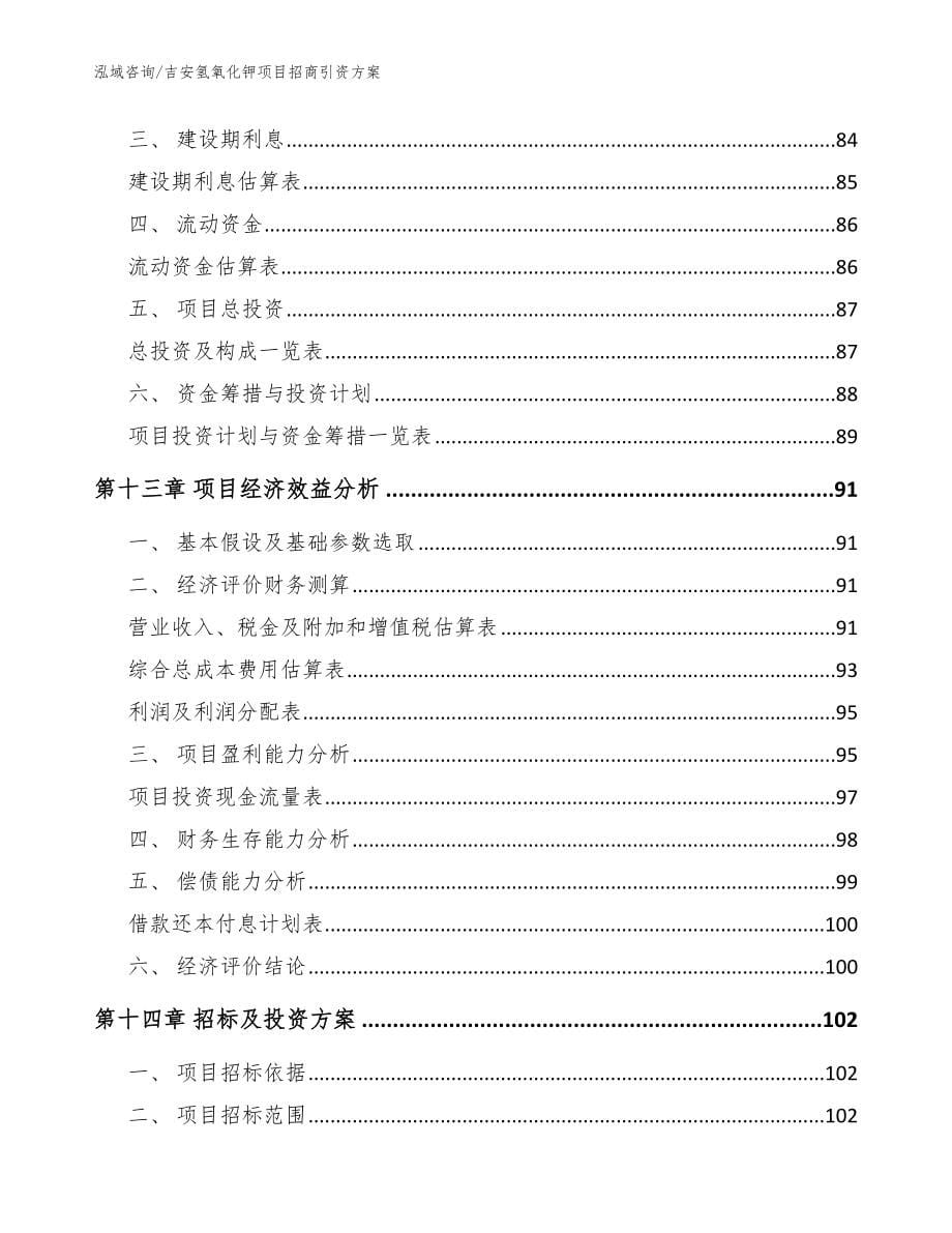 吉安氢氧化钾项目招商引资方案模板参考_第5页