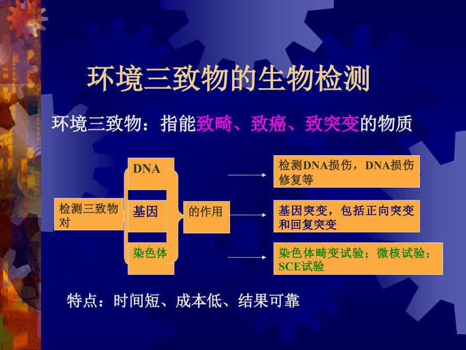 环境三致物的生物检测_第1页