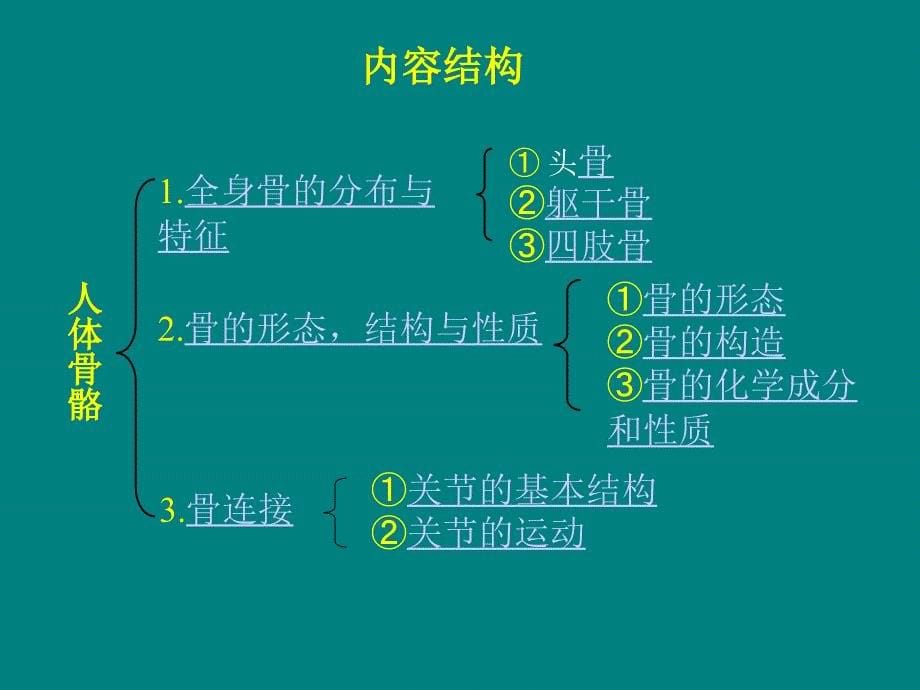 苏教版小学科学四年级下册骨骼PPT课件_第5页