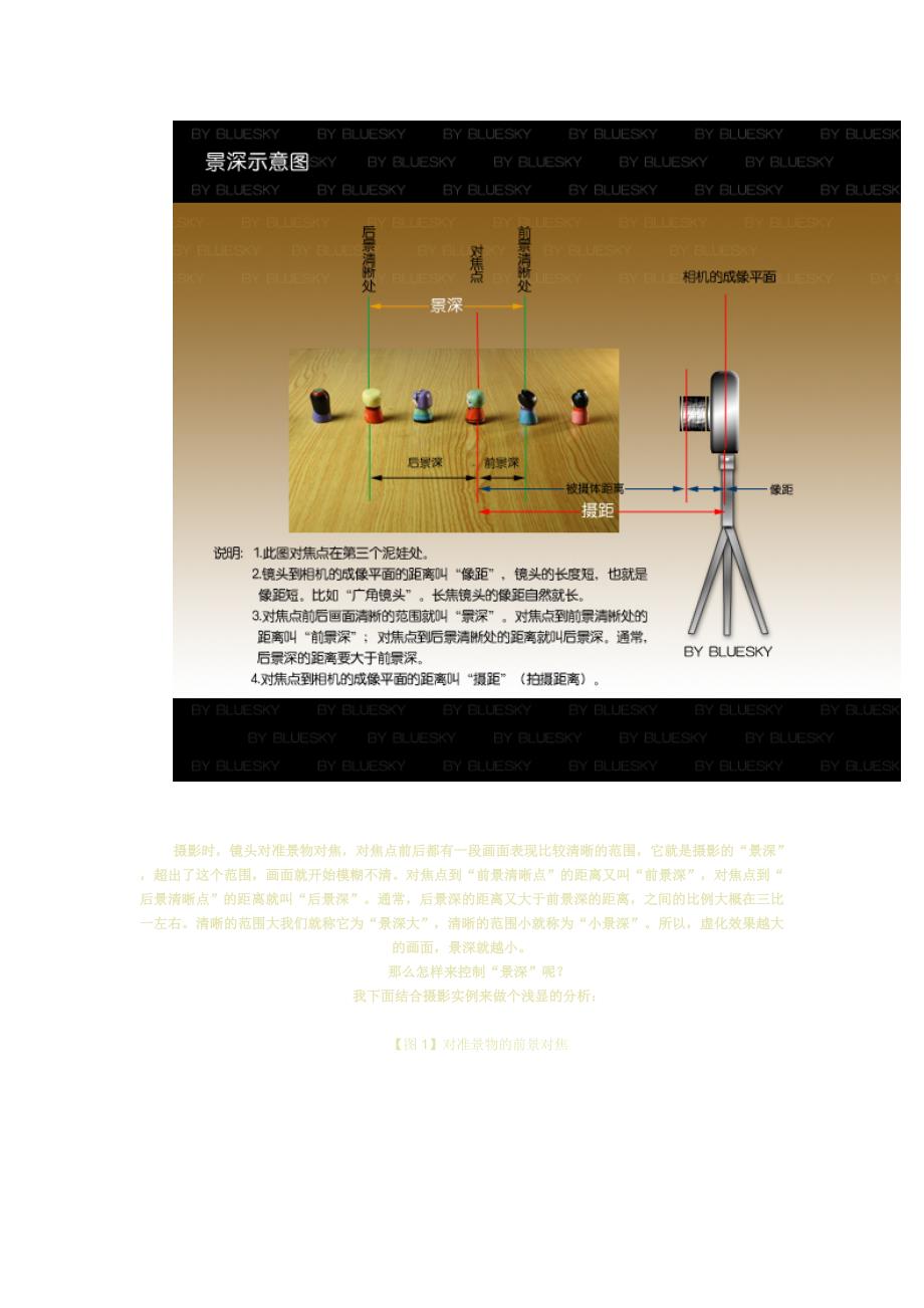 怎样拍摄主景清晰,背景模糊的照片.doc_第2页