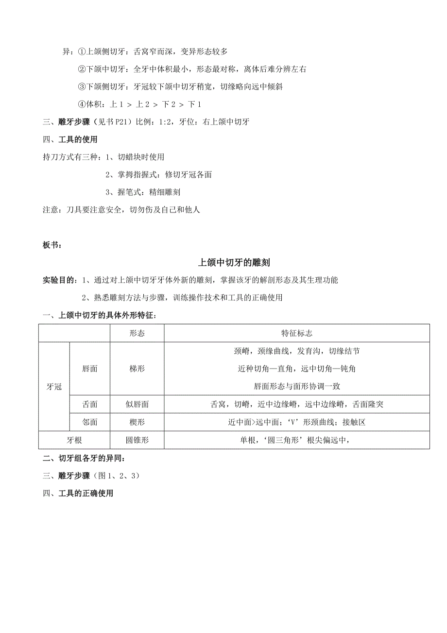 上颌中切牙的雕刻.doc_第2页