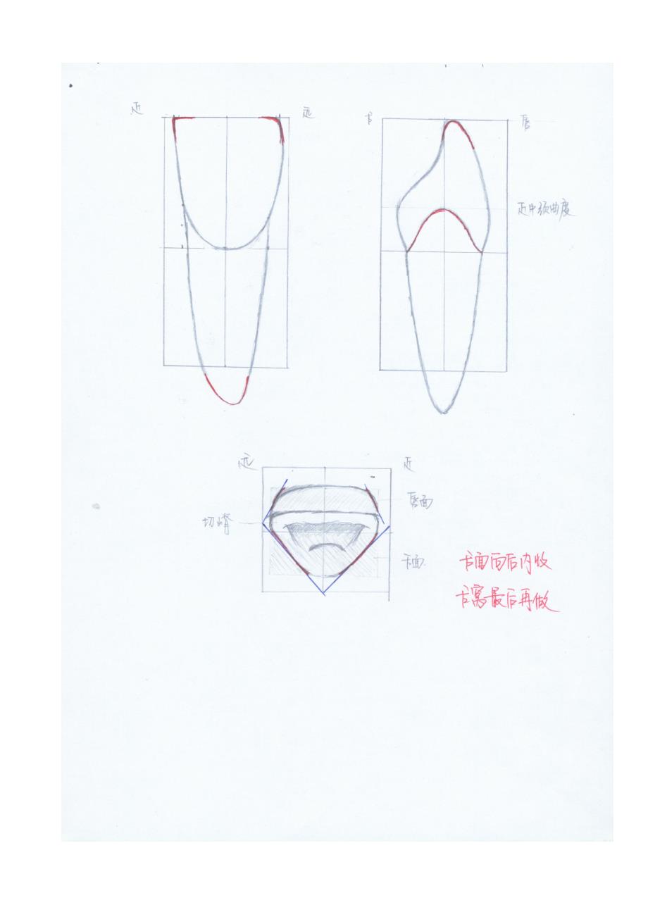 上颌中切牙的雕刻.doc_第3页