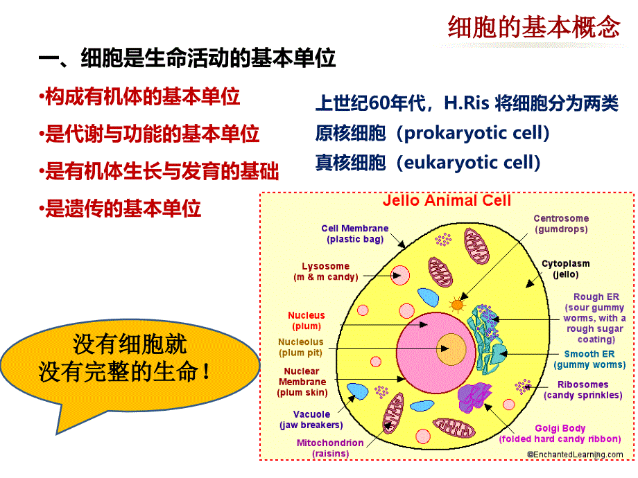 医学细胞生物学：第二章 细胞的概念与分子基础_第2页