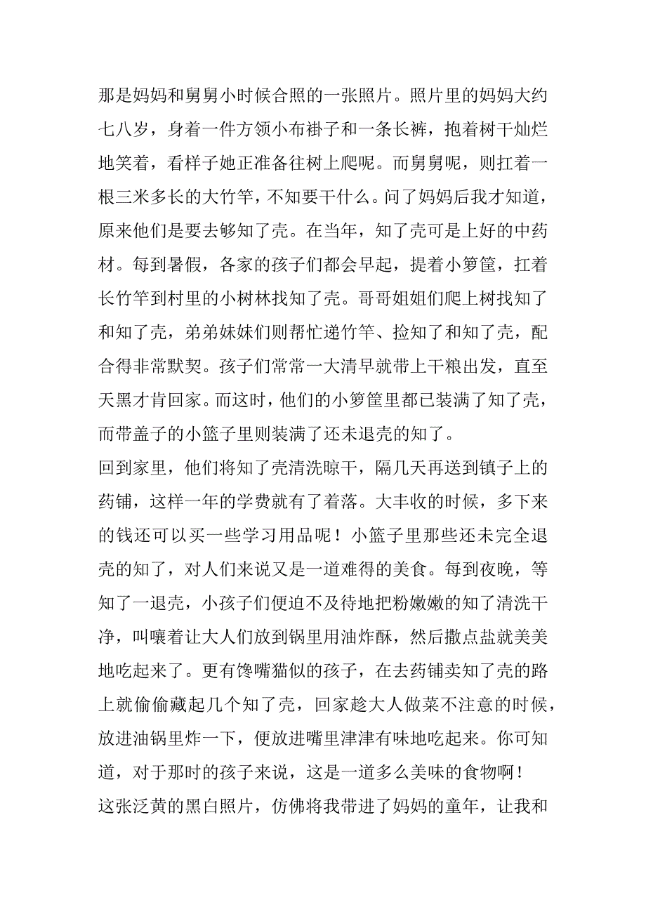 2023年关于照片里故事优秀单元作文七篇_第3页