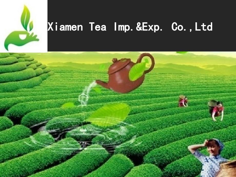 茶Tea介绍公司建立业务关系_第1页