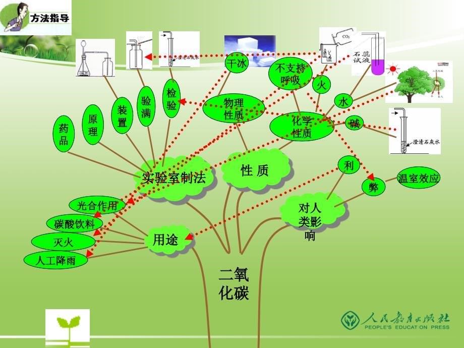 二氧化碳复习_第5页