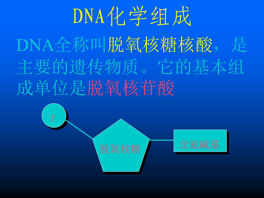 ilgmqyDNA分子的结构和复制_第3页