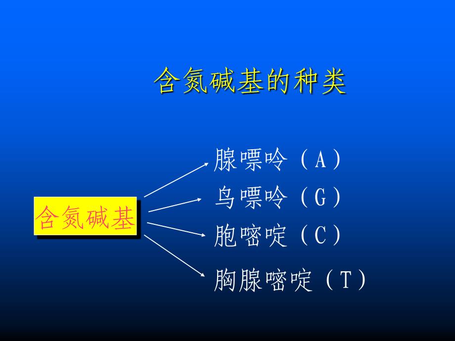 ilgmqyDNA分子的结构和复制_第4页