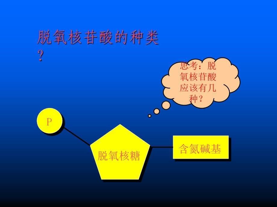 ilgmqyDNA分子的结构和复制_第5页