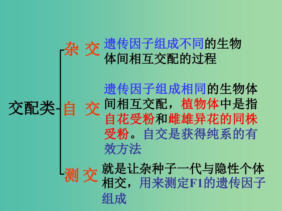 高中生物 1.1孟德尔的豌豆杂交实验（一）第3课时课件 新人教版必修2.ppt_第3页