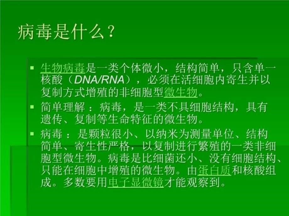 最新复件炎琥宁注射液内训材料PPT课件_第5页