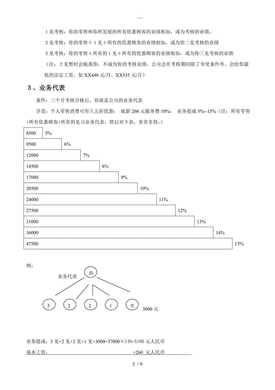 如新事业可行性实施报告_第5页