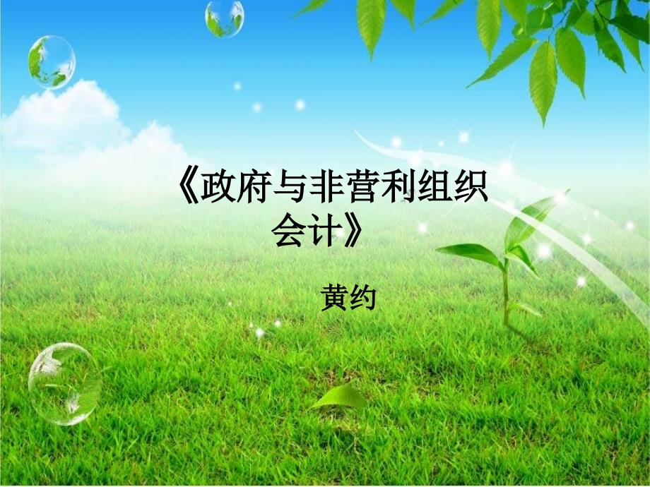 教学课件PPT政府与非营利组织会计概述_第1页