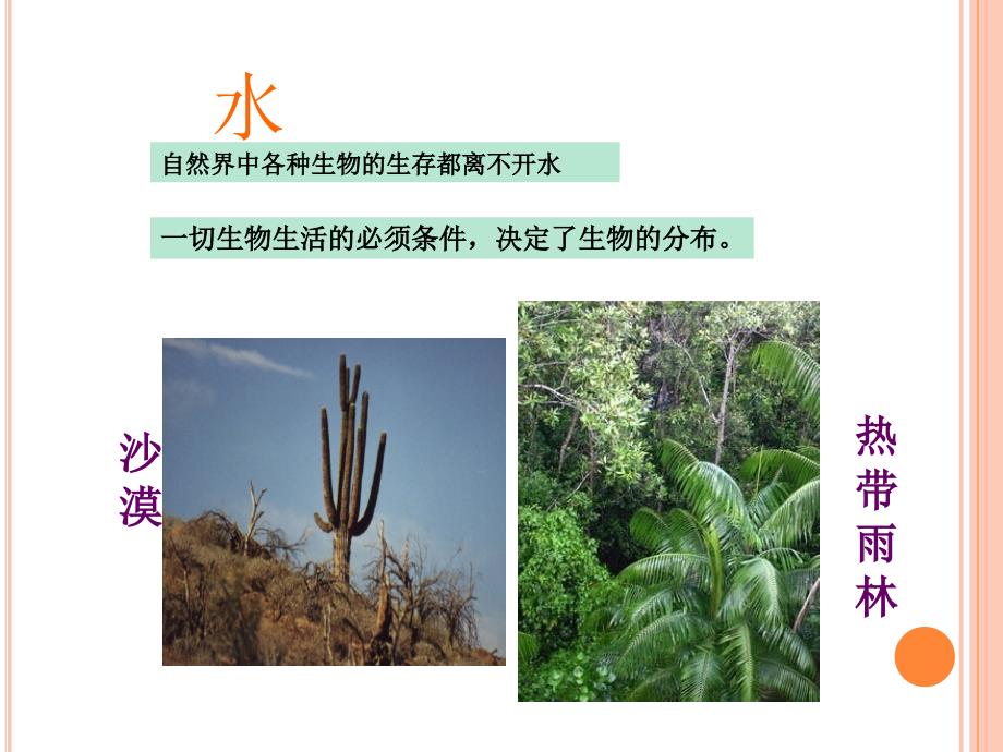 第一节生物的生存依赖一定的环境_第4页