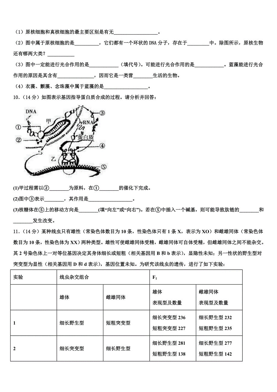 陕西省南郑中学2023学年生物高二第二学期期末达标检测模拟试题（含解析）.doc_第3页