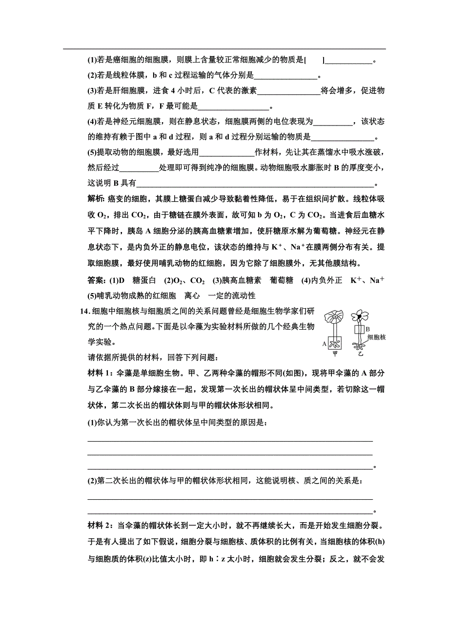 必修1第二单元第一讲细胞膜与细胞核——系统的边界与控制中心.doc_第4页